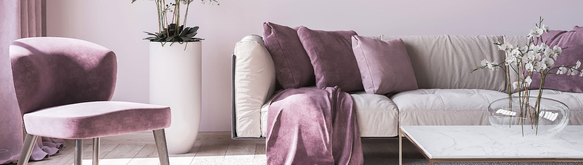 Rent & Legal Protection